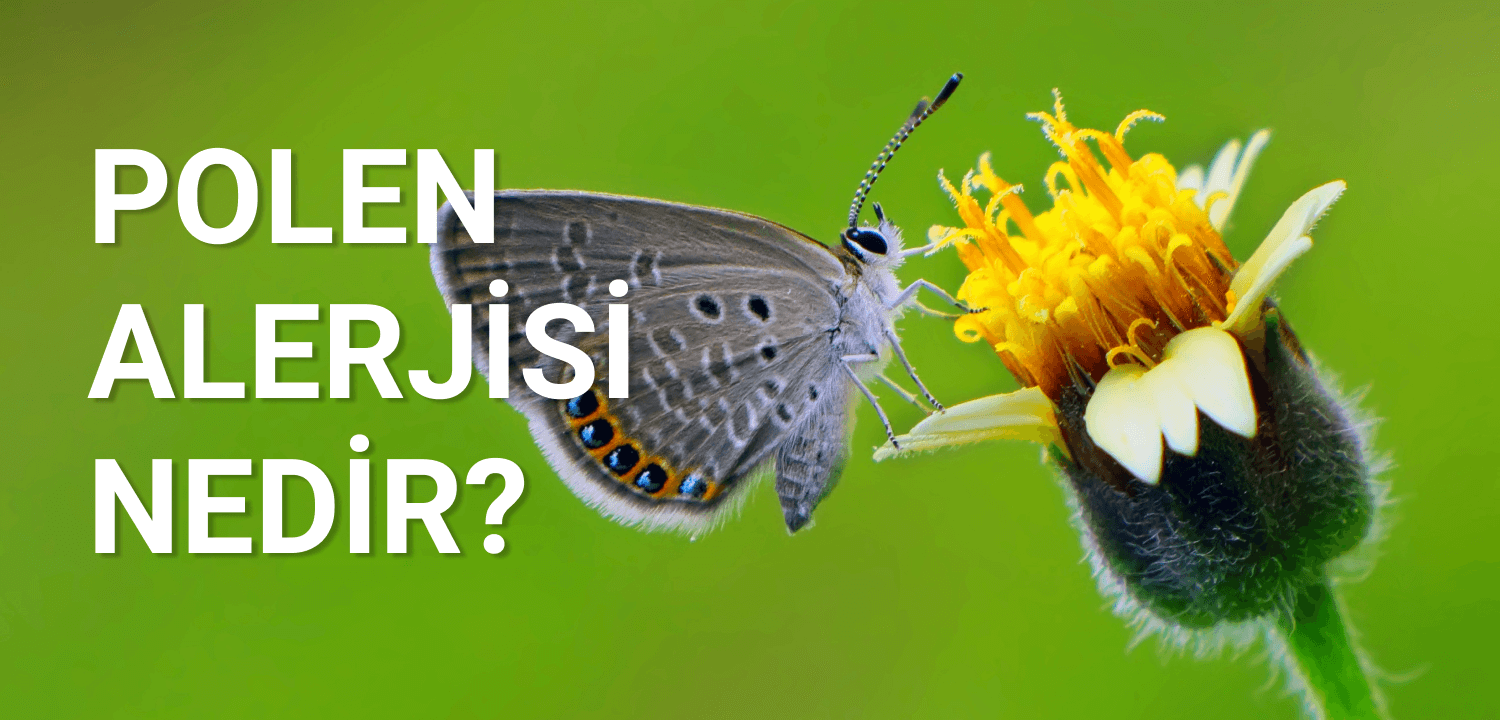 polen alerjisi